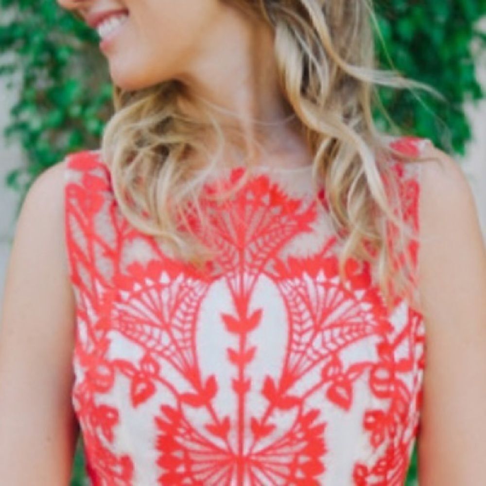 💯 ANTHROPOLOGIE Sugared Ruby Sheath - Picture 6 of 8